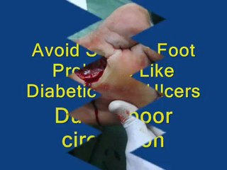 Marine Phytoplankton health