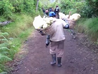 Le Kawa Ijen et les porteurs de soufre