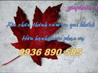Chuyên sửa biệt thự, nhà phố tphcm call 0936 890 585