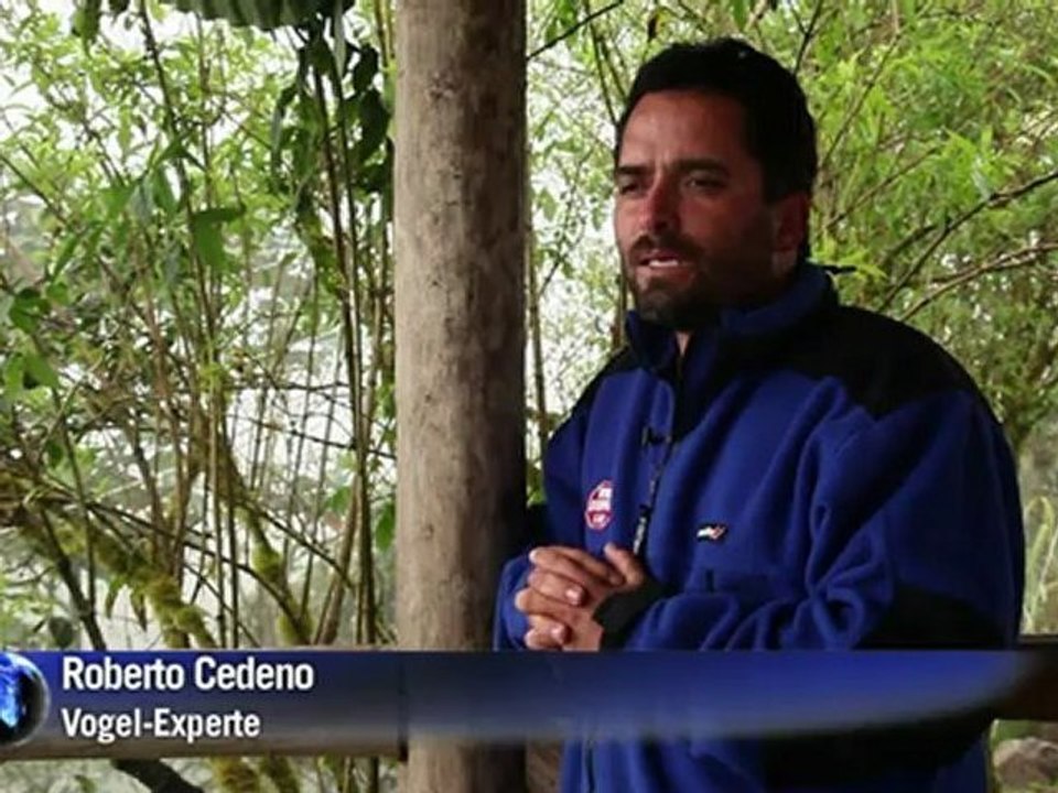 Vogel-Paradies in Ecuador: Von Gejagten zu Gehegten