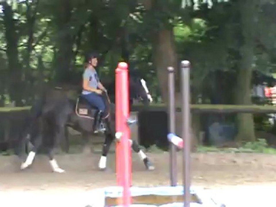 Travail sur le plat 10 07 12.3