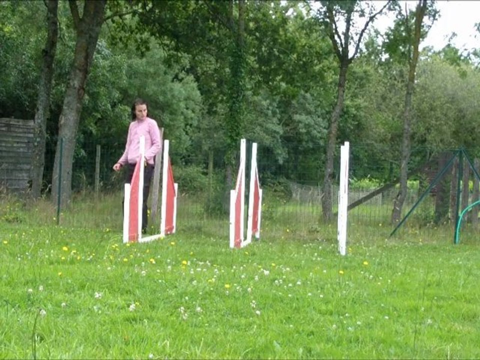 Vodka Running A-Frame 1st training