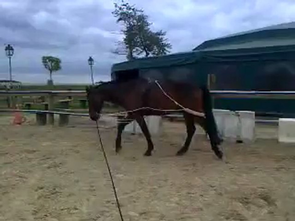 Vidéo0012
