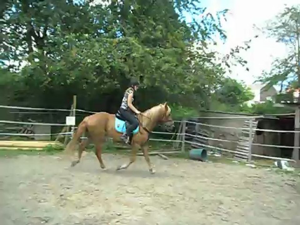 lecon Kaizer samedi