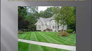 Lawn Care Tampa