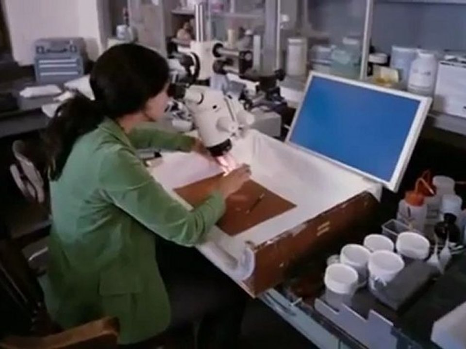 Les Dinosaures vivants