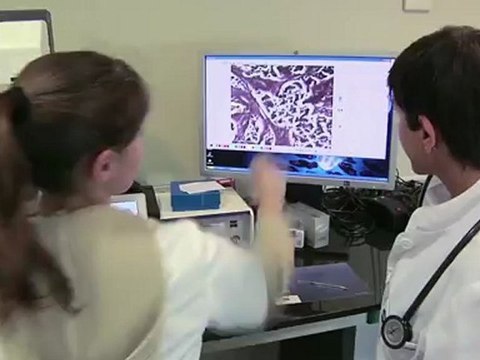 Servicio de Oncología Médica - Instituto Universitario Dexeus - Barcelona