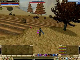 KnightOnLine 2012-07-18 19-43-13-60