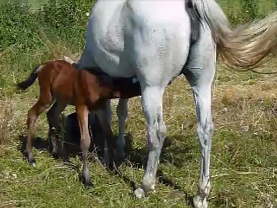 Caïdan - Naissance J+2