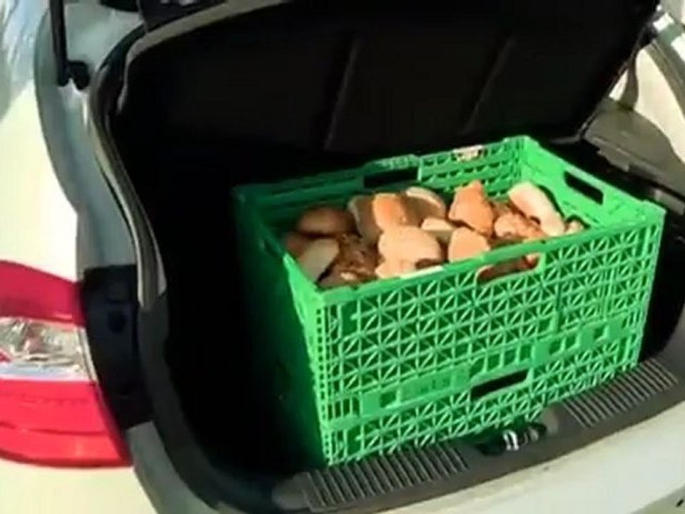 The new Kia Rio | Drive it!