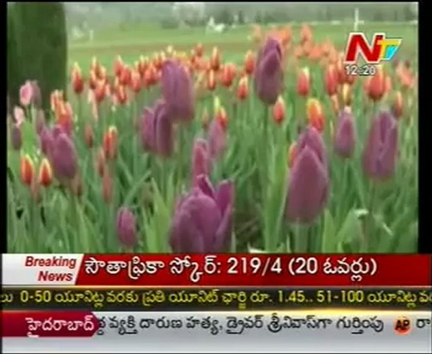 Srinagar- Ultimate Locations with Beautiful snow, Flowers