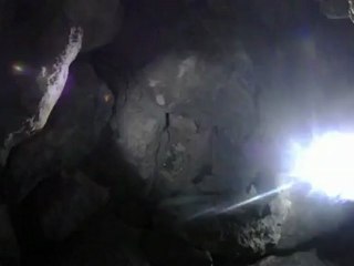 Urban Trotters éxtrait