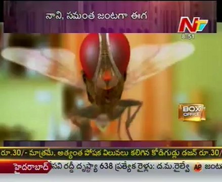 Box Office - Tollywood Latest Film News - 05th Apr 12 - 03