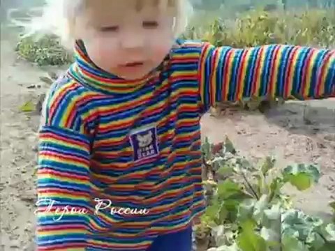 Маленькая девочка спасает кота