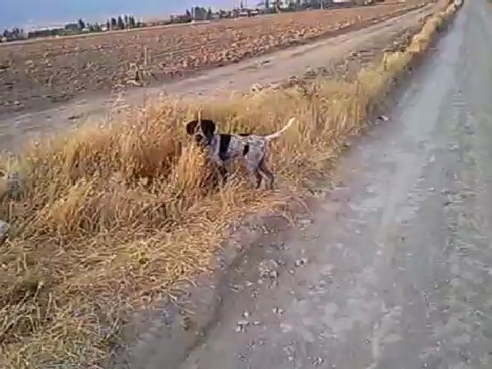 MEX Ferma vermeye başlıyor..