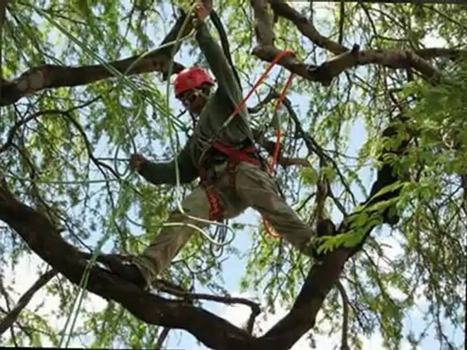 Affordable Landscaping and Tree Service - (978) 786-1059