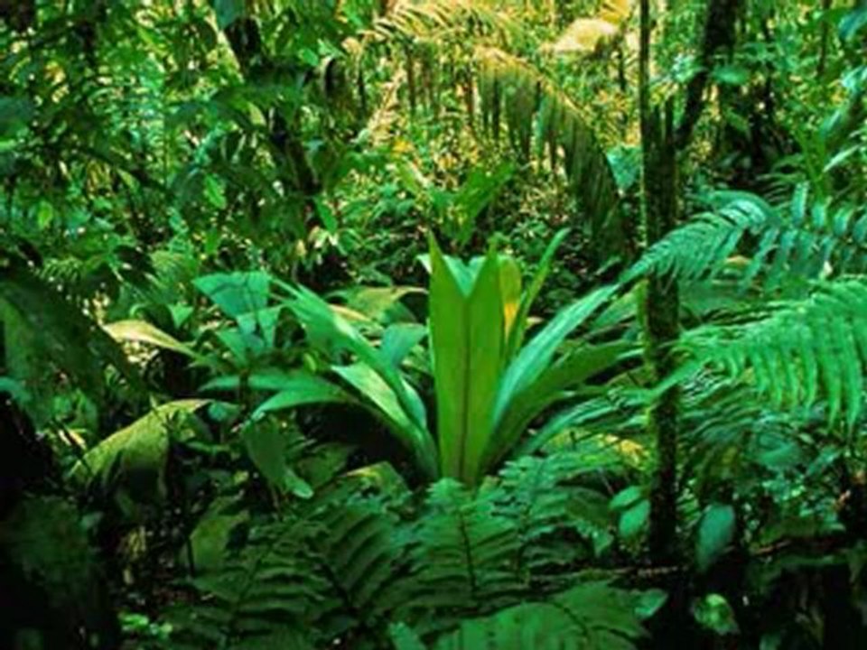 Ah  Bu  Çalan Şarkımız Yarim  Yarim