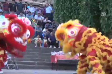 Tayvan sanatının genç elçileri