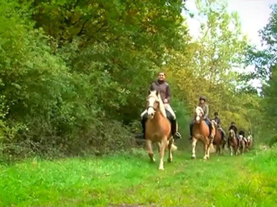 Buying a horse