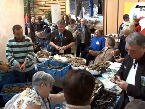 Journees Nationales Handisport a La Rochelle - bloghandicap.com