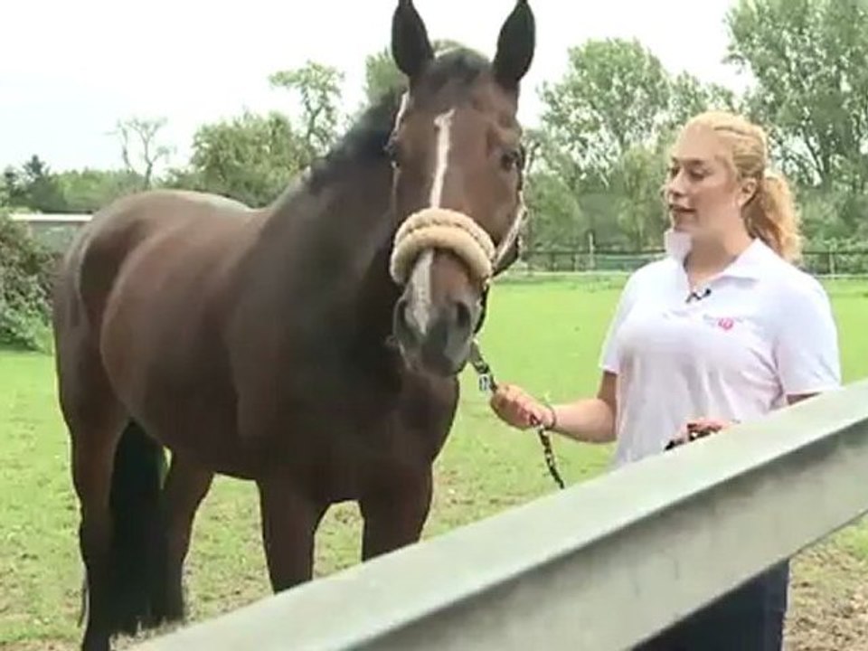 Leading the horse off the pasture