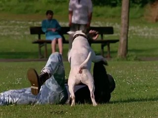 Bande Annonce Officieuse - Trainspotting