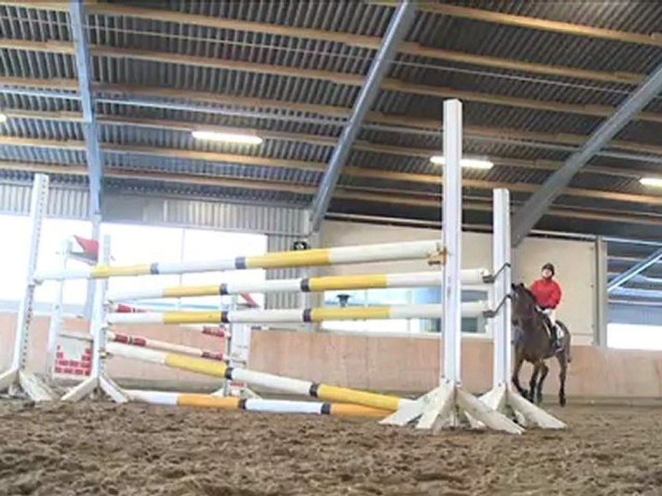 Show Jumping Series Part 3 - Tournament Training