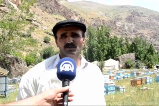 Bal ve ceviz ile sağlanan pazar