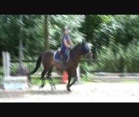 stage juin samedi1gpe