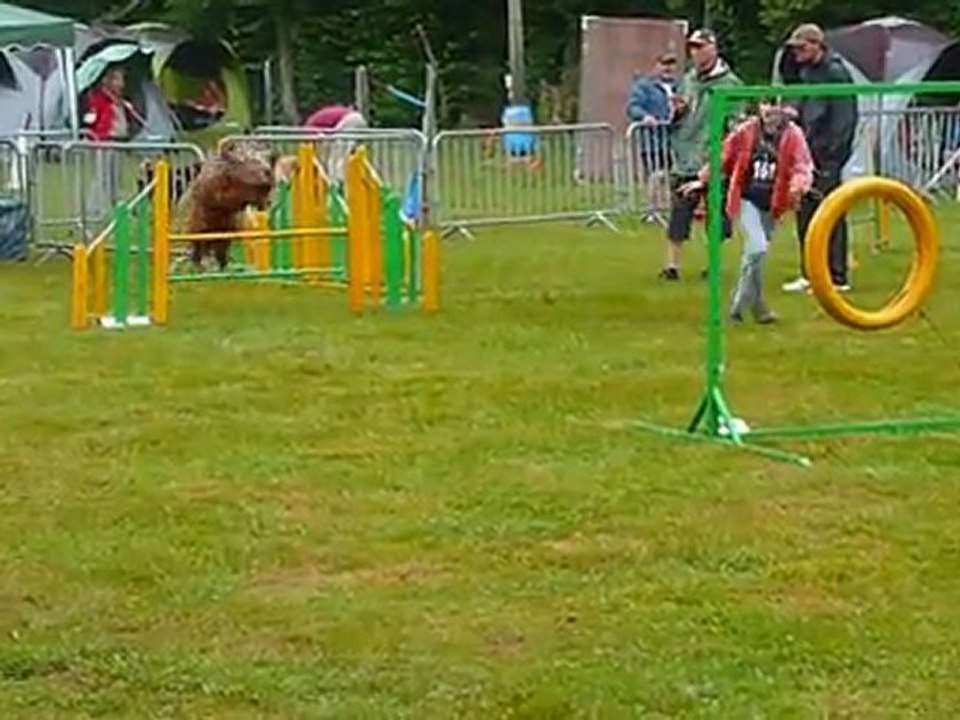 agility chartreuse