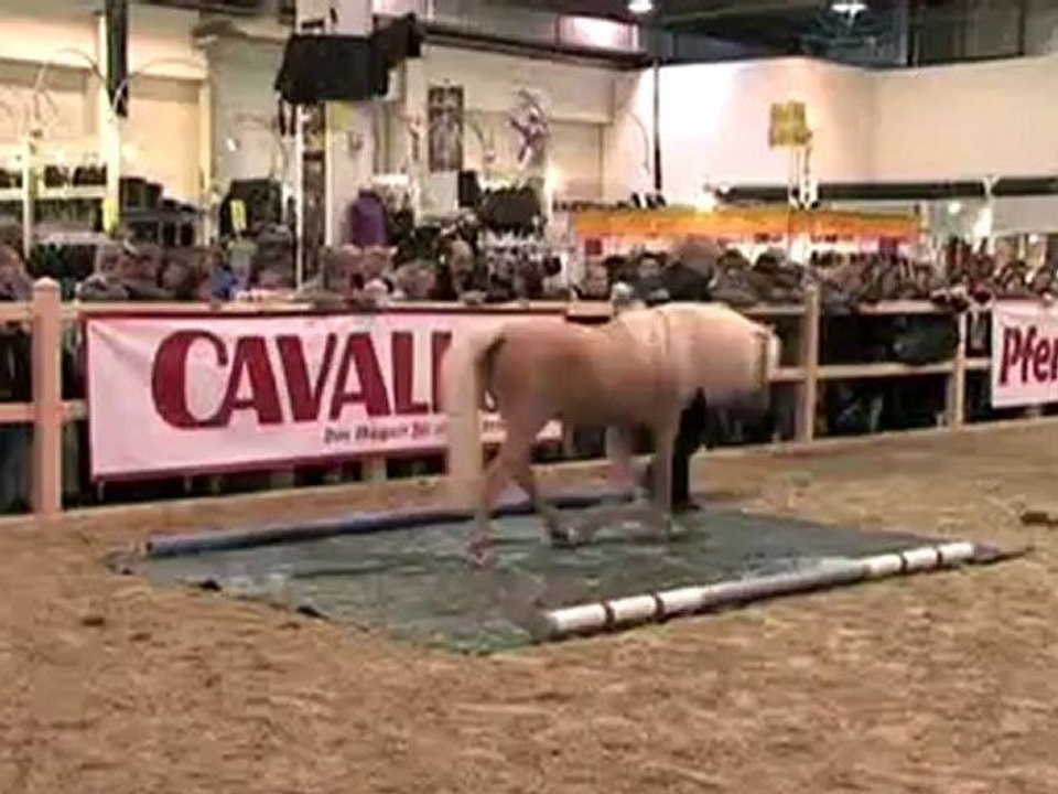 Relaxation examination course