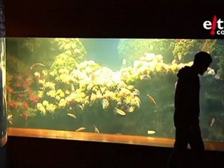 Euskadiko Literatura Sariak 2010: Jokin Mitxelena