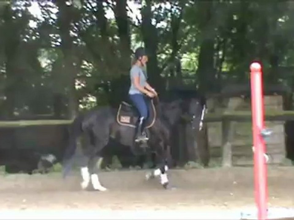 Travail sur le plat 10 07 12 ( montage )