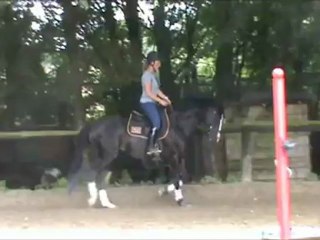 Travail sur le plat 10 07 12 ( montage )