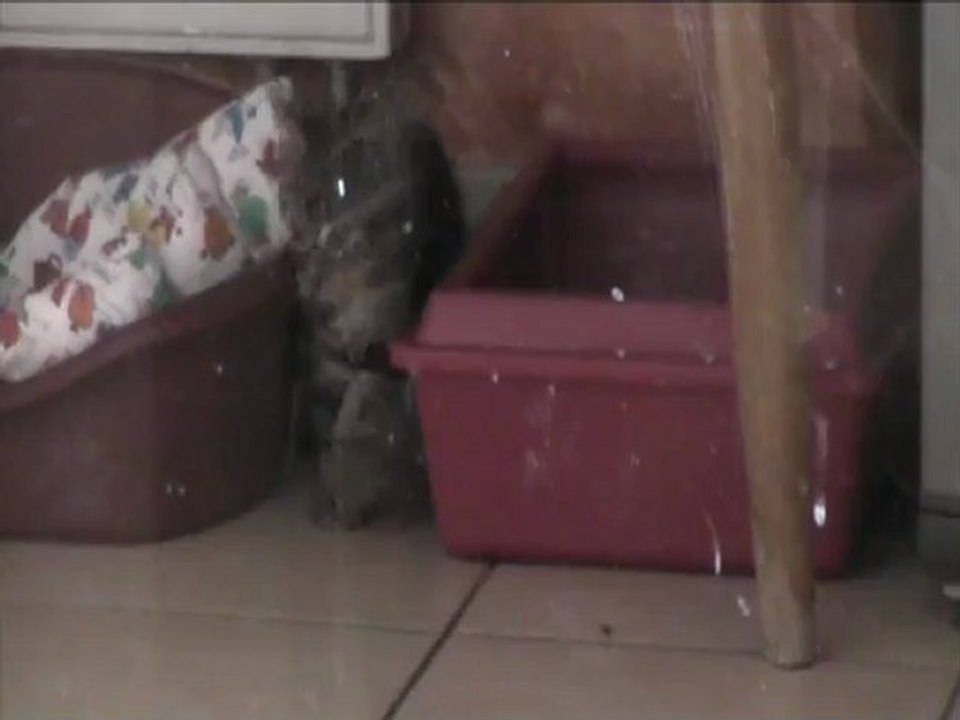 07 07 12 Sortilege 01