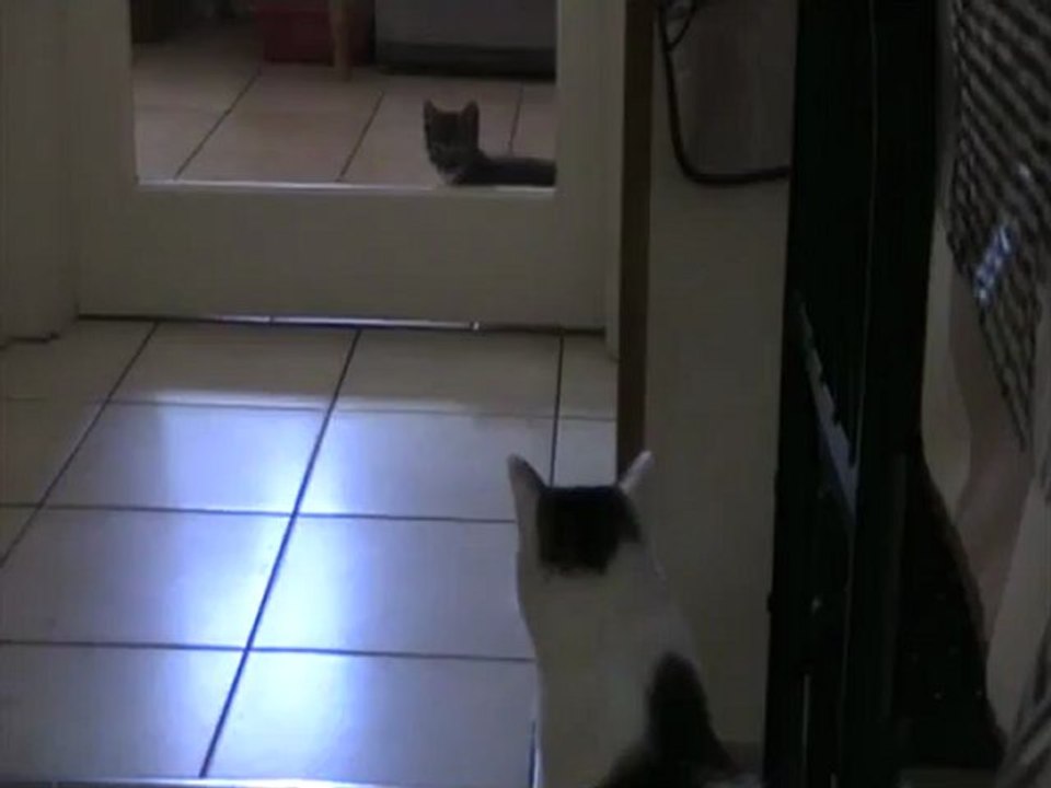 08 07 12 Sortilege 03