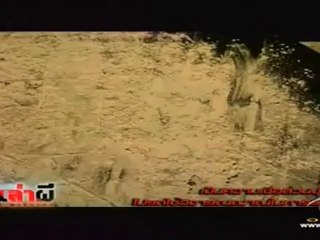 คนล่าผี  ป่าช้าวีรชน 2 วันที่ 11 กรกฏาคม 2555-3