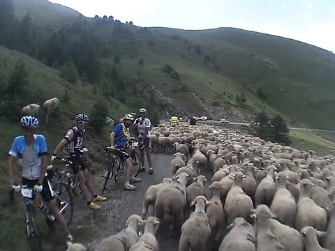 DFU 2012-Descente col d'Allos & moutons!-30jun2012