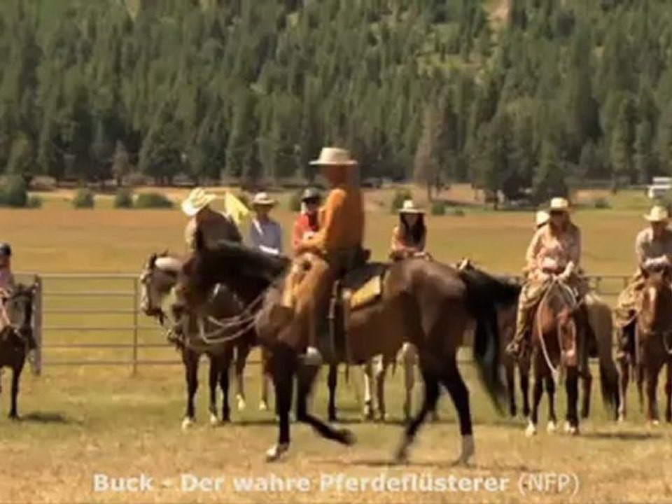 Kinotipps der Woche vom 31. Mai 2012