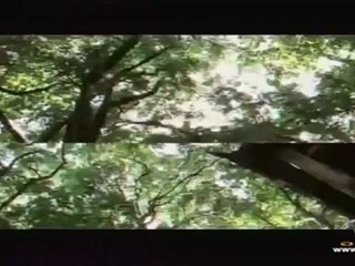 คนล่าผี  ป่าช้าวีรชน 1วันที่ 11 กรกฏาคม 2555-1