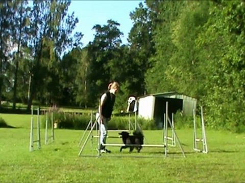 11 juli agility med Magi och Bengt
