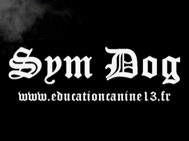 SYM DOG SHOP