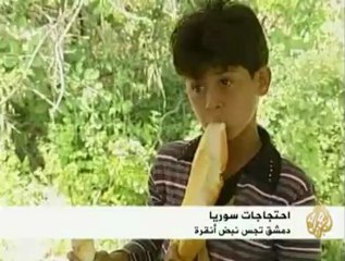 المشهد السوري بين مؤيد ومعارض للنظام