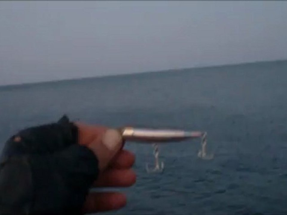 zipn ziggy top water and baracuda fishing test :)