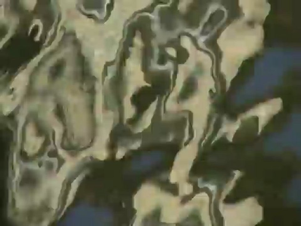 Magal - A Flower Open Wide