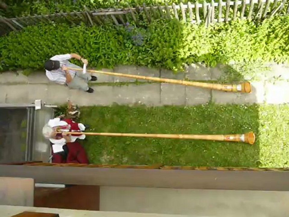 Alphörner am Haus Dolomit in Zermatt