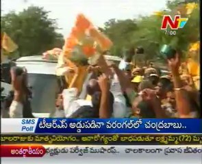 Chandrababu Naidu tour in Tirupathi today
