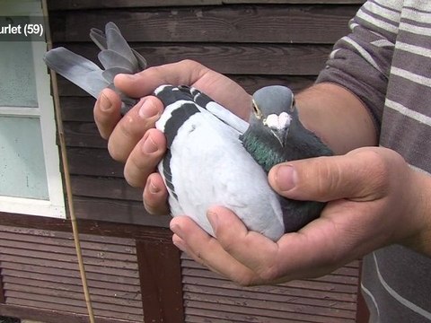 Opal'TV - Le JT - Edition du mercredi 11 juillet 2012