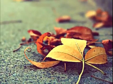 Öyle Bir Geçer Zaman Ki - Sonbahar - oylebirgecerzamankifan.com