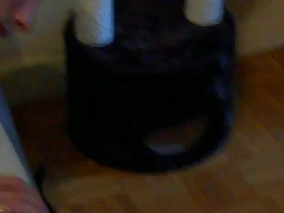 Snoopy s'amuse!!!!